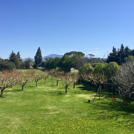 Mas Les Fleurs D'Hilaire Bed & Breakfast Monteux Bagian luar foto