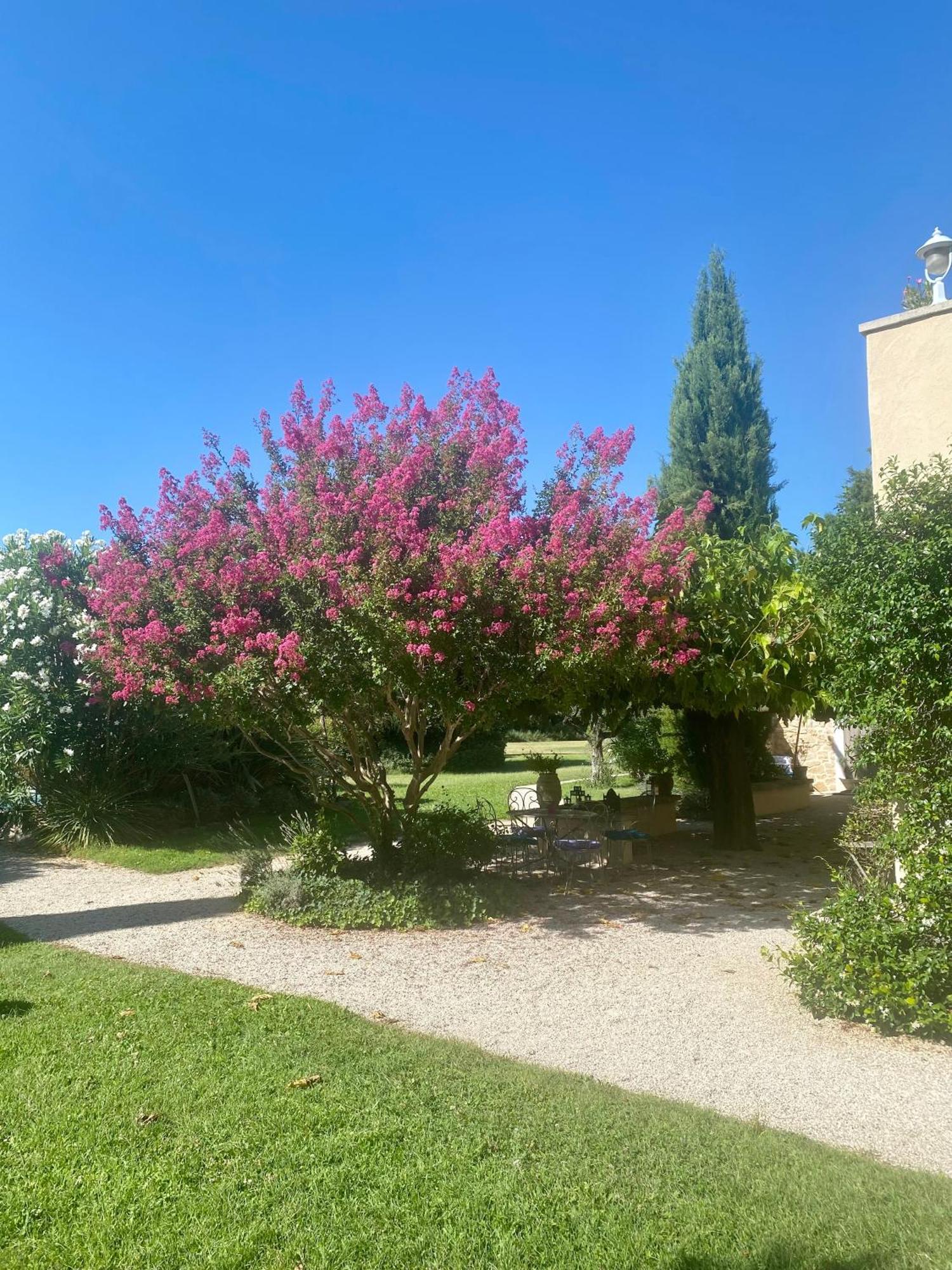 Mas Les Fleurs D'Hilaire Bed & Breakfast Monteux Bagian luar foto