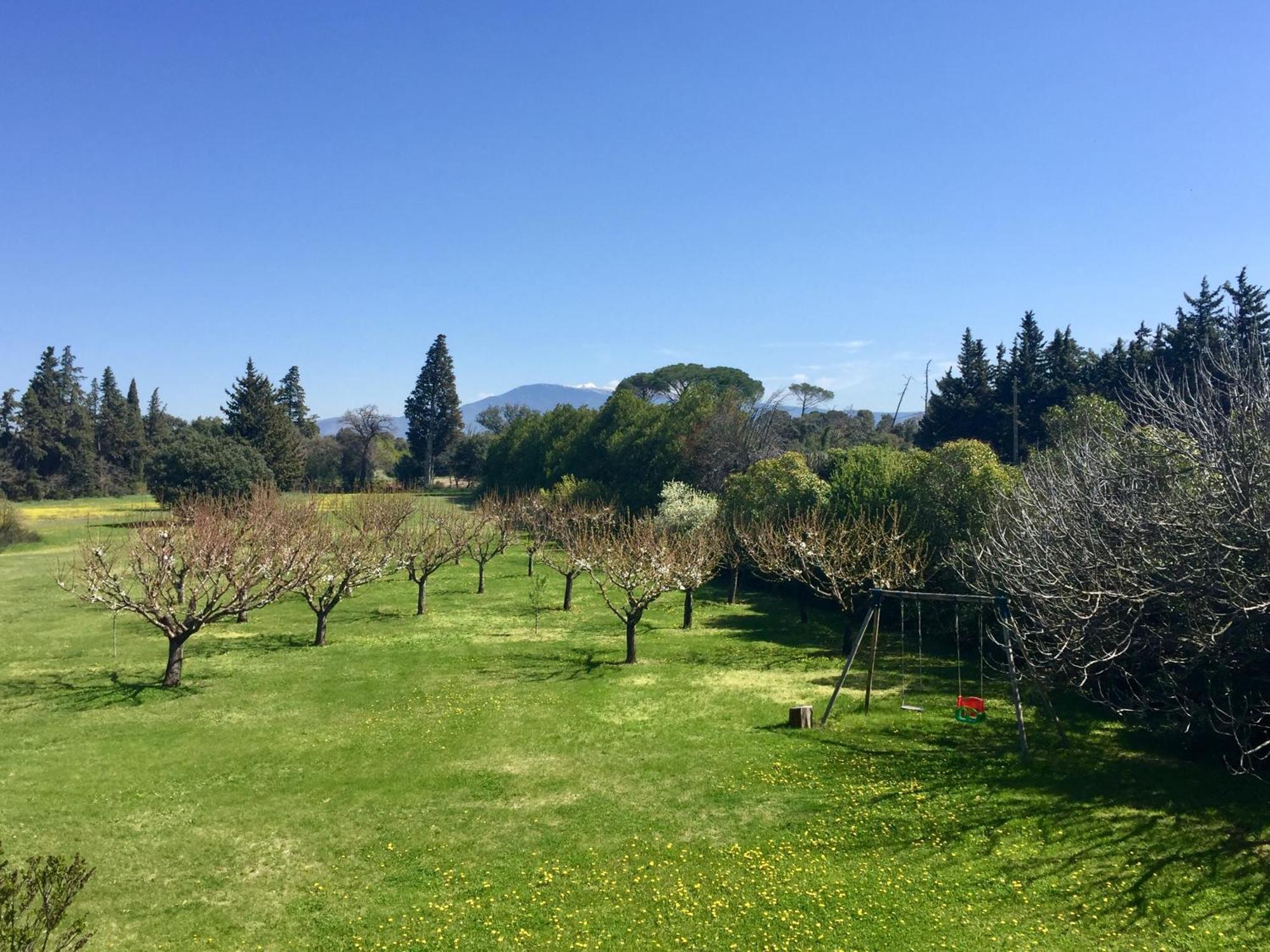 Mas Les Fleurs D'Hilaire Bed & Breakfast Monteux Bagian luar foto